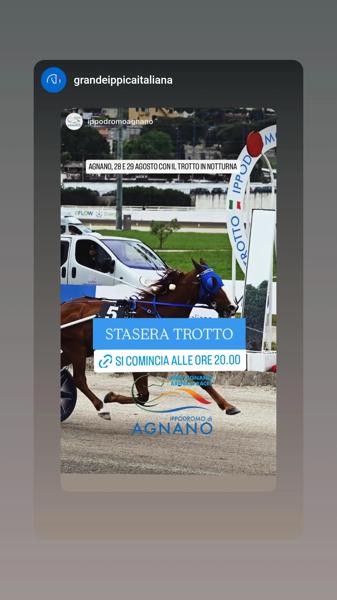 Trotto in Notturna