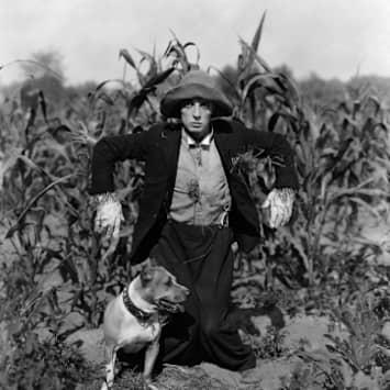 ENSEMBLE MULTILATÉRALE / LEO WARYNSKI DIRETTORE - SCARECROW