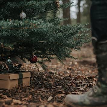 Mettere in ordine il Natale