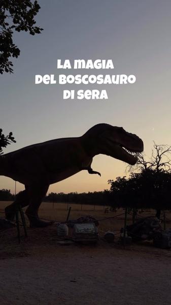 La Magia del Boscosauro di Sera