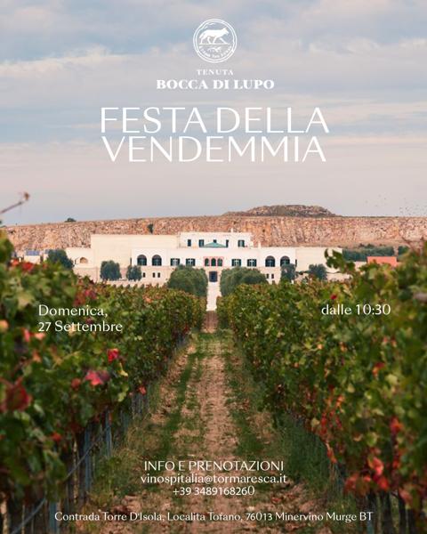 Festa della Vendemmia