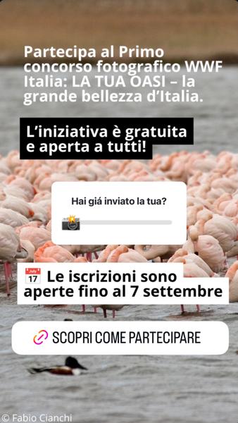 Primo concorso fotografico WWF Italia: LA TUA OASI – la grande bellezza d'Italia