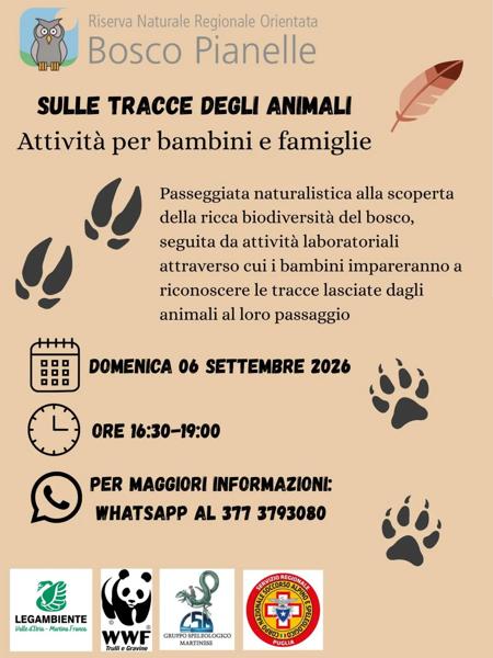 Sulle tracce degli animali