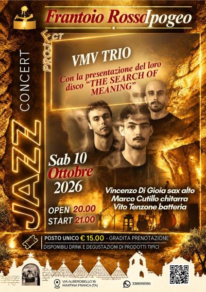 VMV Trio - The Search of Meaning