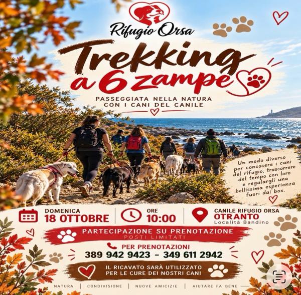 Trekking a 6 zampe