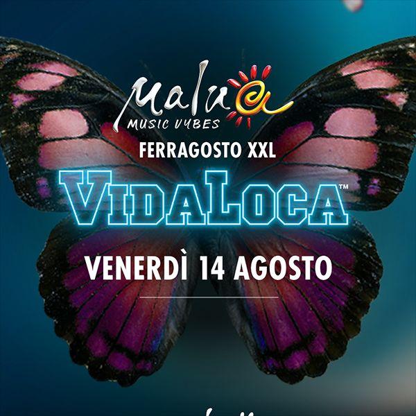 Vidaloca Ferragosto XXL