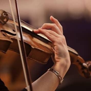 Bellini e le Quattro Stagioni di Vivaldi
