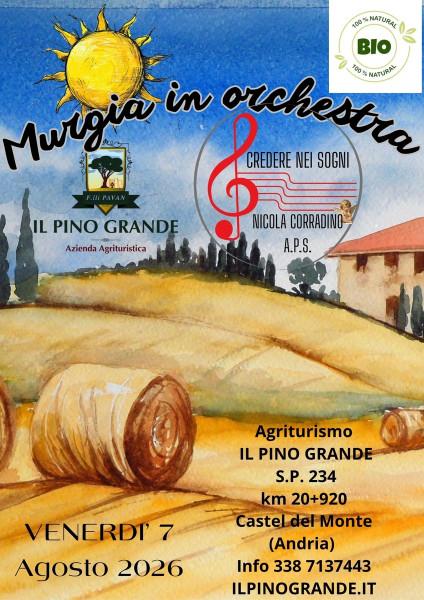 Murgia In Orchestra