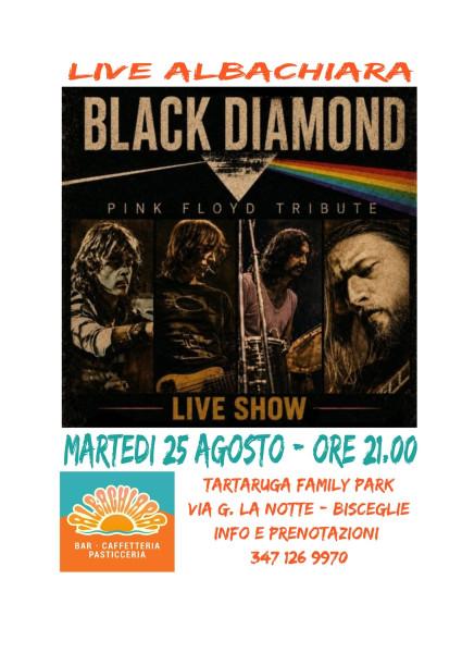 Black Diamond