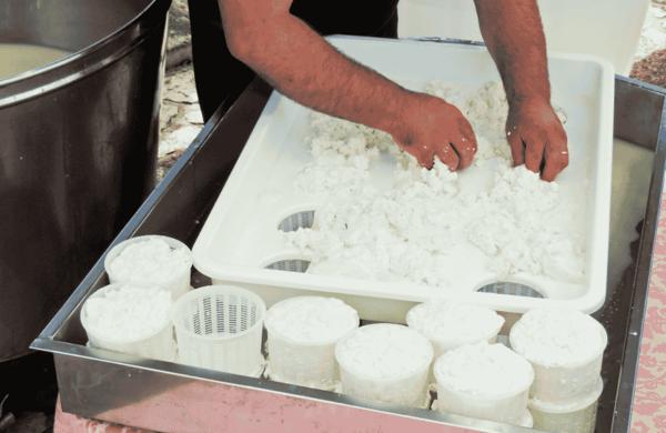 Sagra della Ricotta