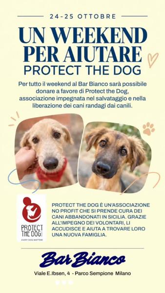 Un weekend per aiutare Protect the Dog