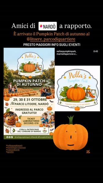 Pumpkin Patch di Autunno