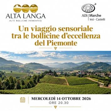 Alta Langa - Un viaggio sensoriale tra le bollicine d'eccellenza del Piemonte