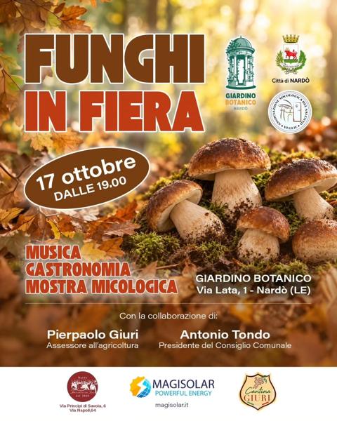 Funghi in Fiera