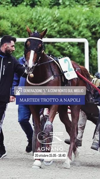 Martedì Trotto a Napoli