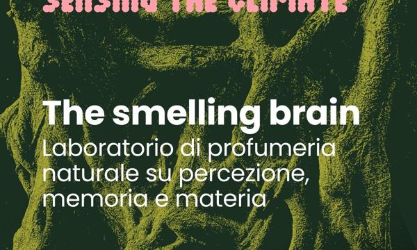THE SMELLING BRAIN