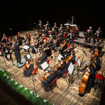 XVIII Concerto Sinfonico di S. Cecilia