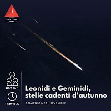 Leonidi e Geminidi, stelle cadenti d'autunno