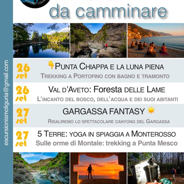 Gargassa Fantasy
