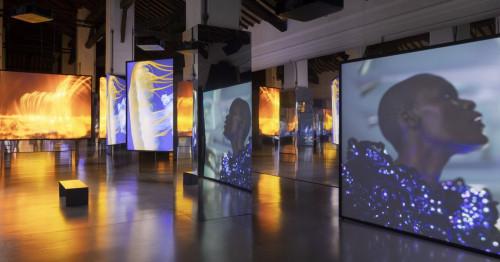 Isaac Julien. All That Changes You. Metamorphosis