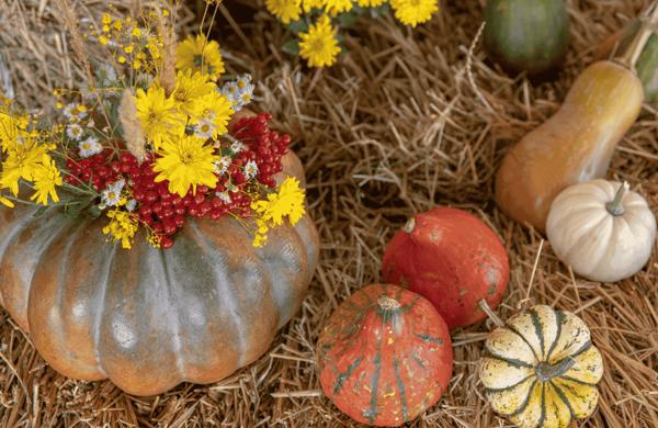 Festa della zucca e dei fiori d'autunno