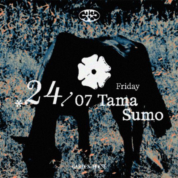 Garden House presents Tama Sumo