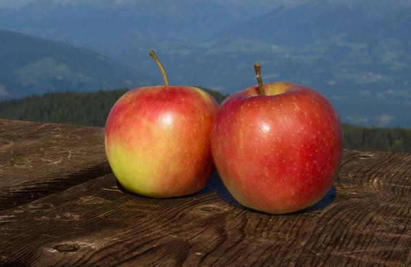 Mele vallée – Festa d’autunno
