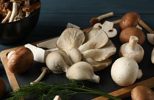 Mostra dei funghi