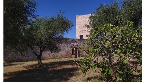 Alla scoperta di Balsignano, il casale medievale