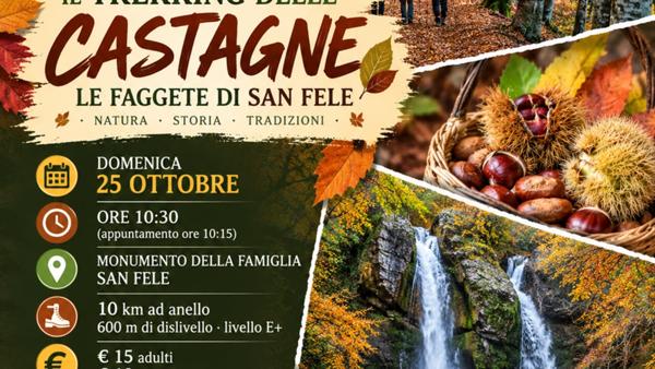 Il trekking delle castagne: le faggete di San Fele