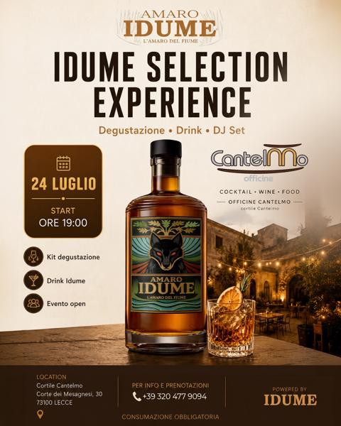 Idume Selection Experience