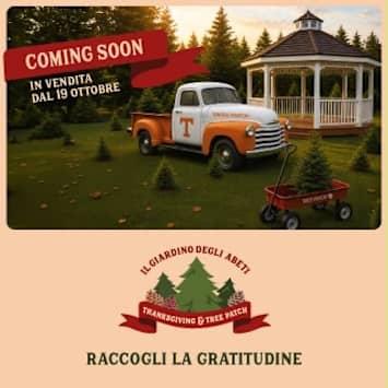 Il Giardino degli Abeti - Thanksgiving Tree Patch