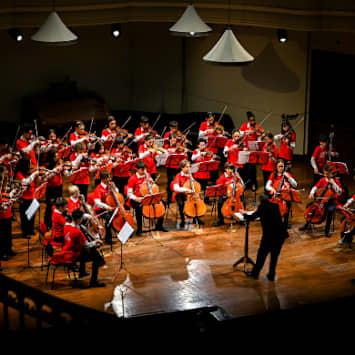 Orchestra Suzuki - 50 Anni