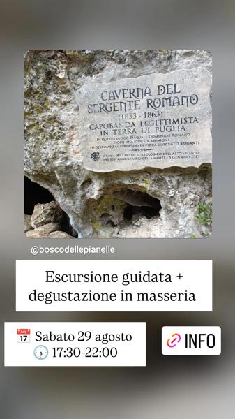 Escursione guidata + degustazione in masseria
