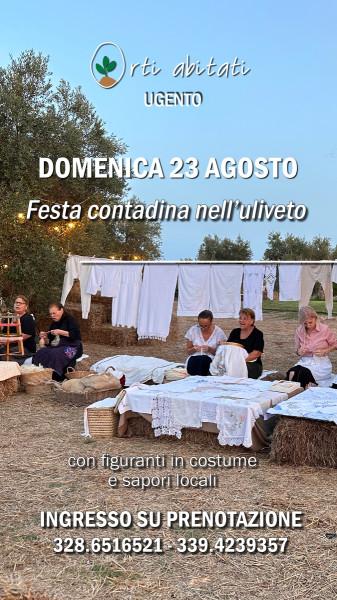 Festa contadina nell'uliveto