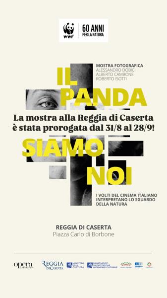 Il Panda