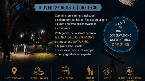 Astrotrekking nella foresta di Mercadante