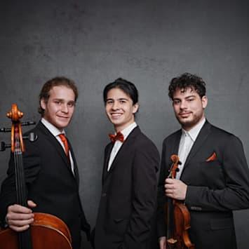 TRIO CONCEPT RESIDENCY