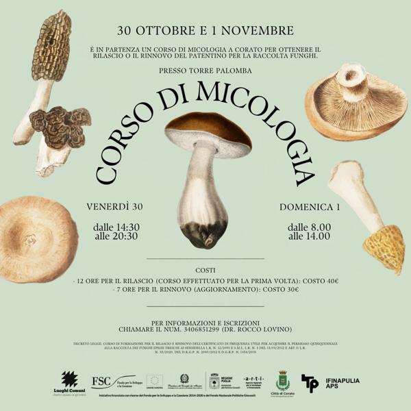 Corso di Micologia 2026