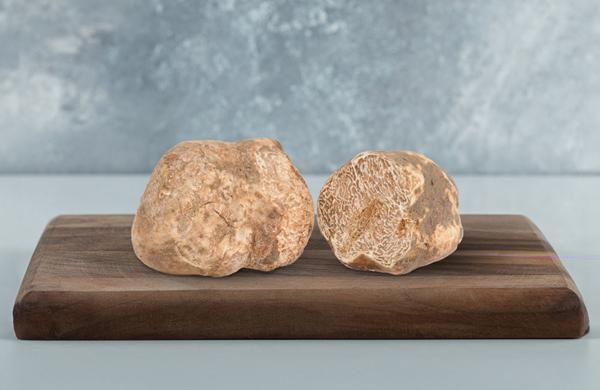 Fiera nazionale del Tartufo