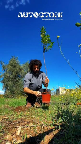 Bosco didattico di comunità