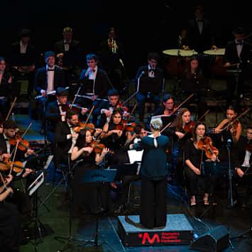 Orchestra Magister Harmoniae - Musical Music Concert