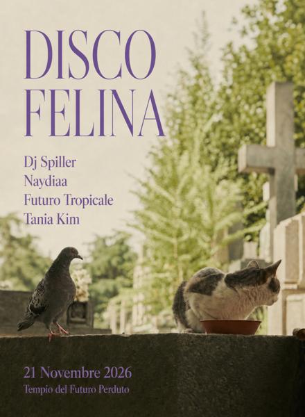 DISCO FELINA