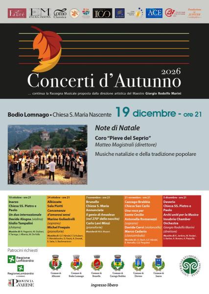 La voce del violino