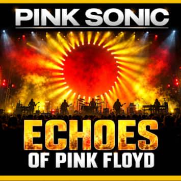 Pink Sonic - The Echoes of Pink Floyd
