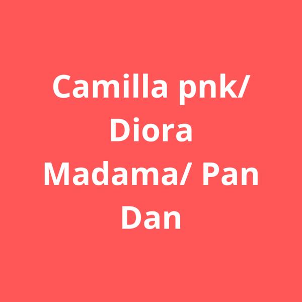 CAMILLA PNK + DIORA MADAMA + PAN DAN - LA POSTURA DEL CONSENSO 2026