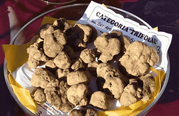 Fiera del tartufo