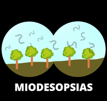 What are myodesopsias?