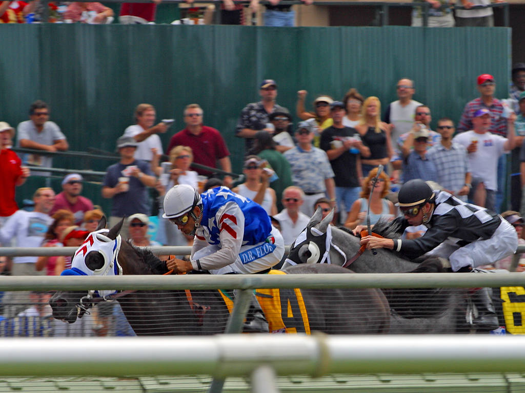 DelMar Horse Racing