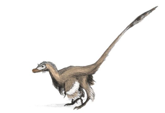vicious-velociraptor.jpg